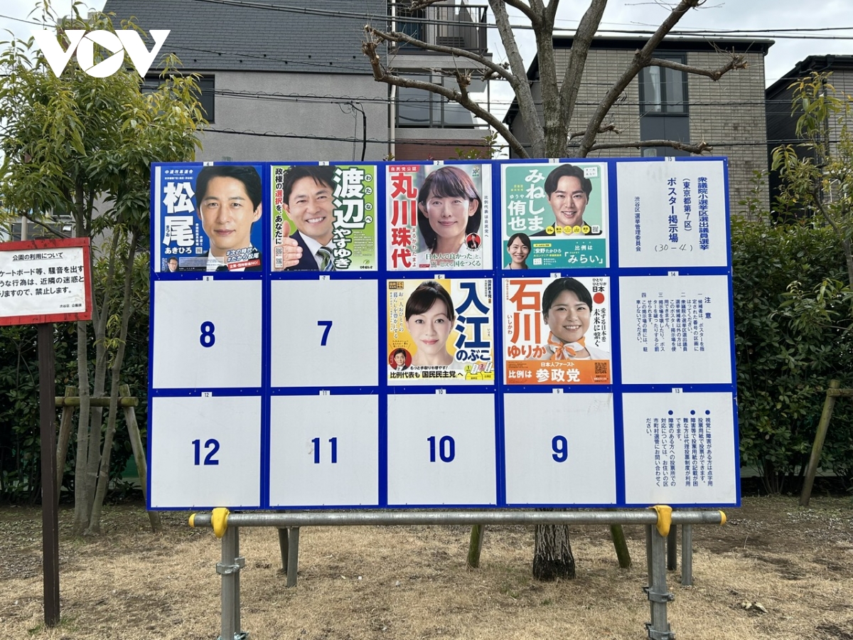 bau cu ha vien nhat ban so luong cu tri giam manh hinh anh 1