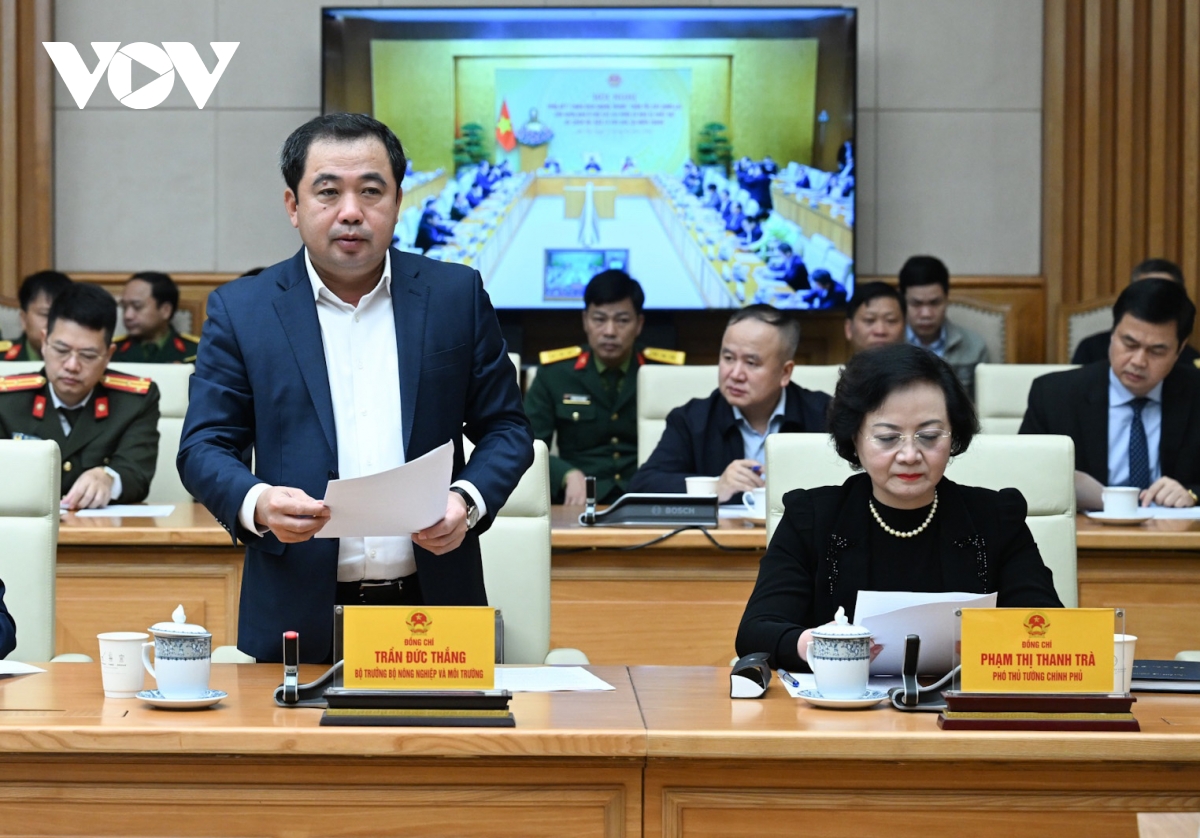 thu tuong chien dich quang trung da chien thang gion gia hinh anh 2