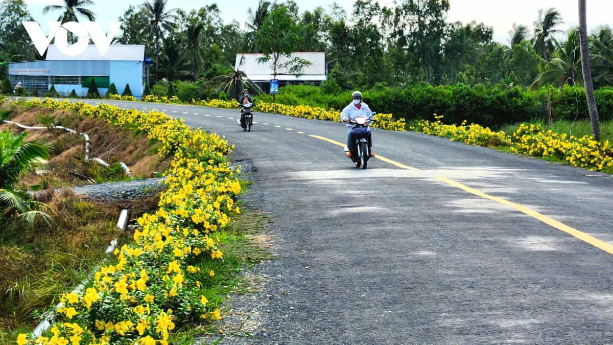 can tho ra soat, nang cao chat luong xay dung nong thon moi tren dia ban cac xa hinh anh 2