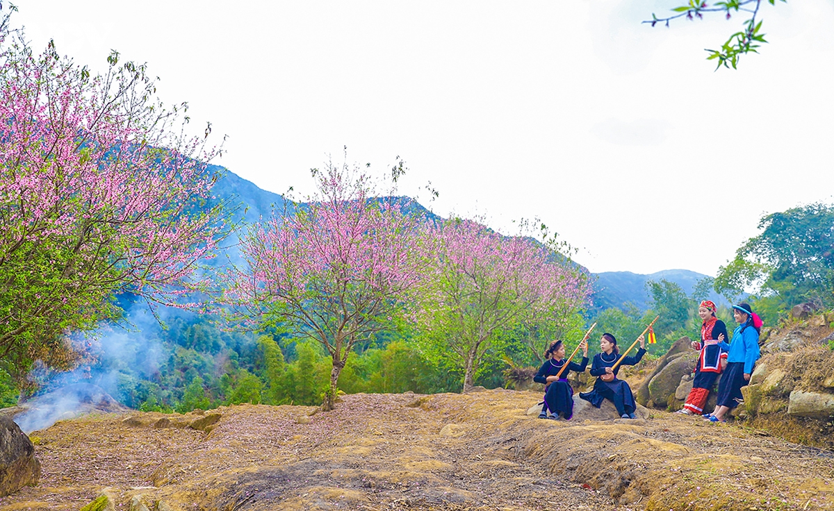 vung an sinh, ben phen dau vung cao Dong bac hinh anh 2