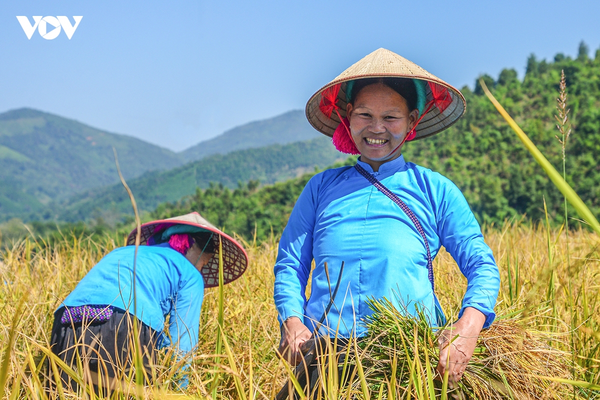 vung an sinh, ben phen dau vung cao Dong bac hinh anh 3