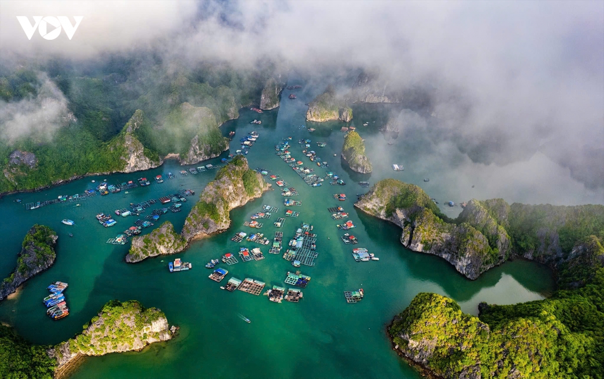Dua dao xanh cat ba tro thanh diem hen bon mua hinh anh 4