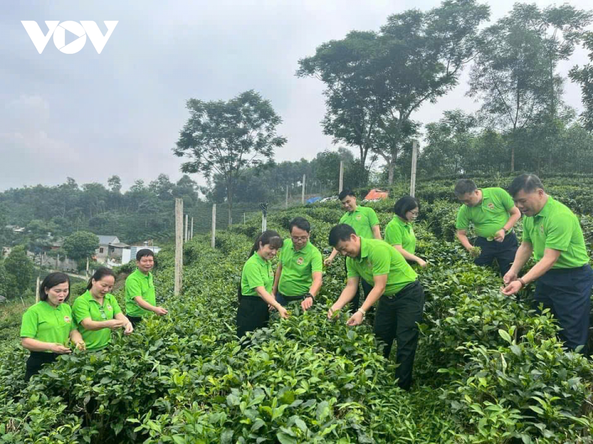 Dua cong nghe so len nuong che hinh anh 2