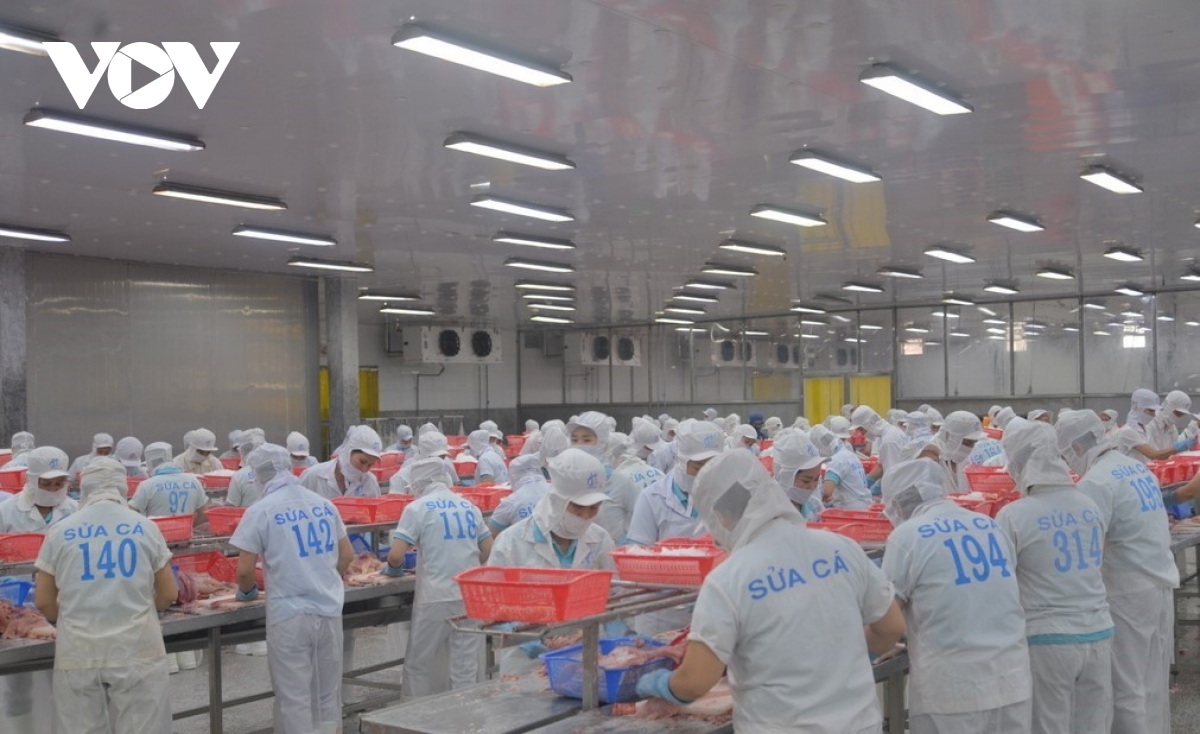 chuyen doi so giup nang cao suc canh tranh cho nganh hang ca tra viet nam hinh anh 5