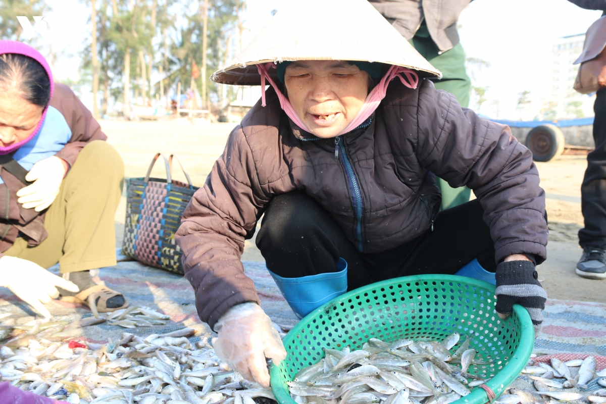 hung dong tren bai bien sam son - nhip muu sinh khong ngu cua lang chai xu thanh hinh anh 7