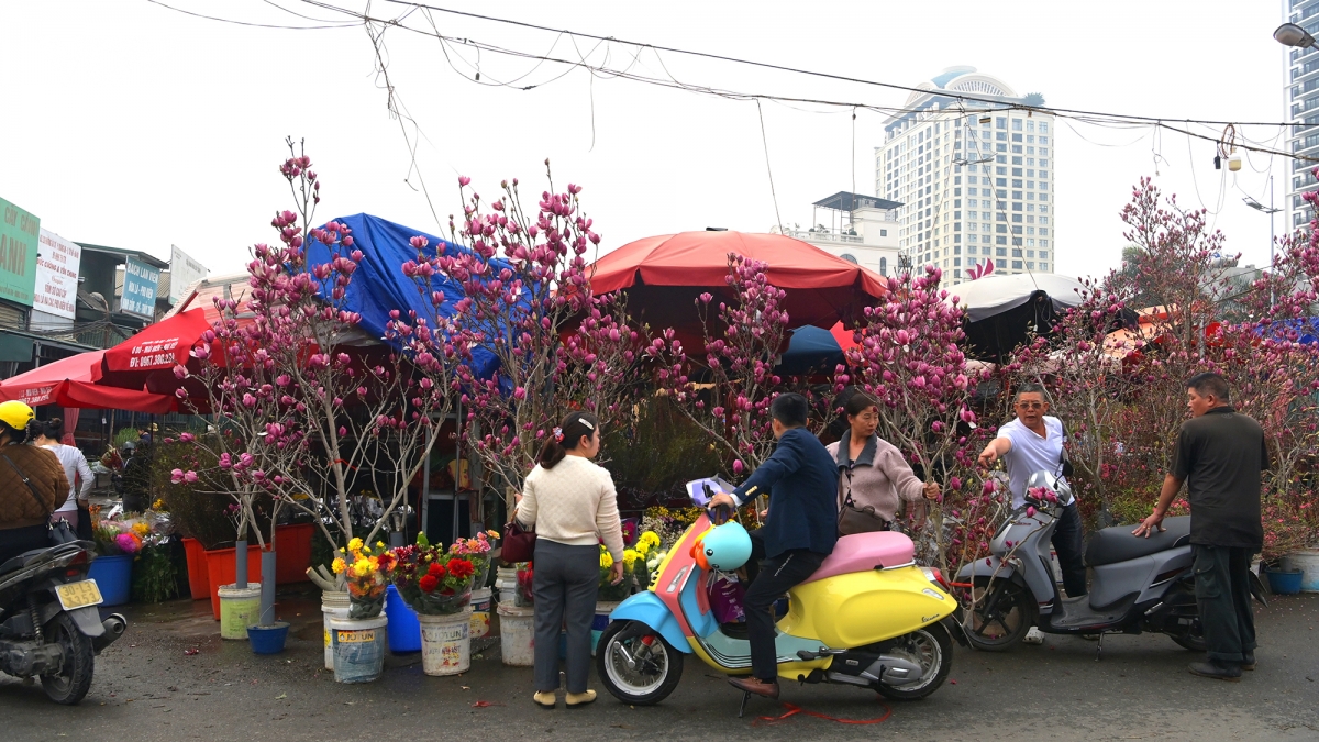  con sot moc lan khuay dong thi truong hoa tet 2026 hinh anh 10