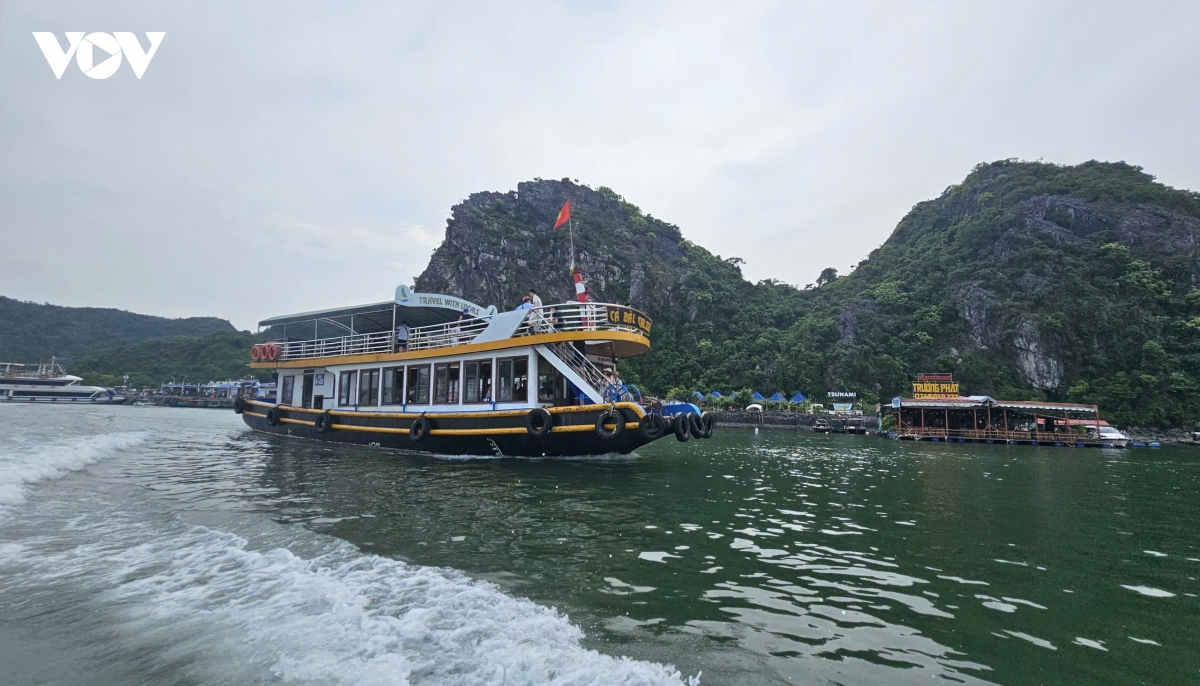 Dua dao xanh cat ba tro thanh diem hen bon mua hinh anh 2