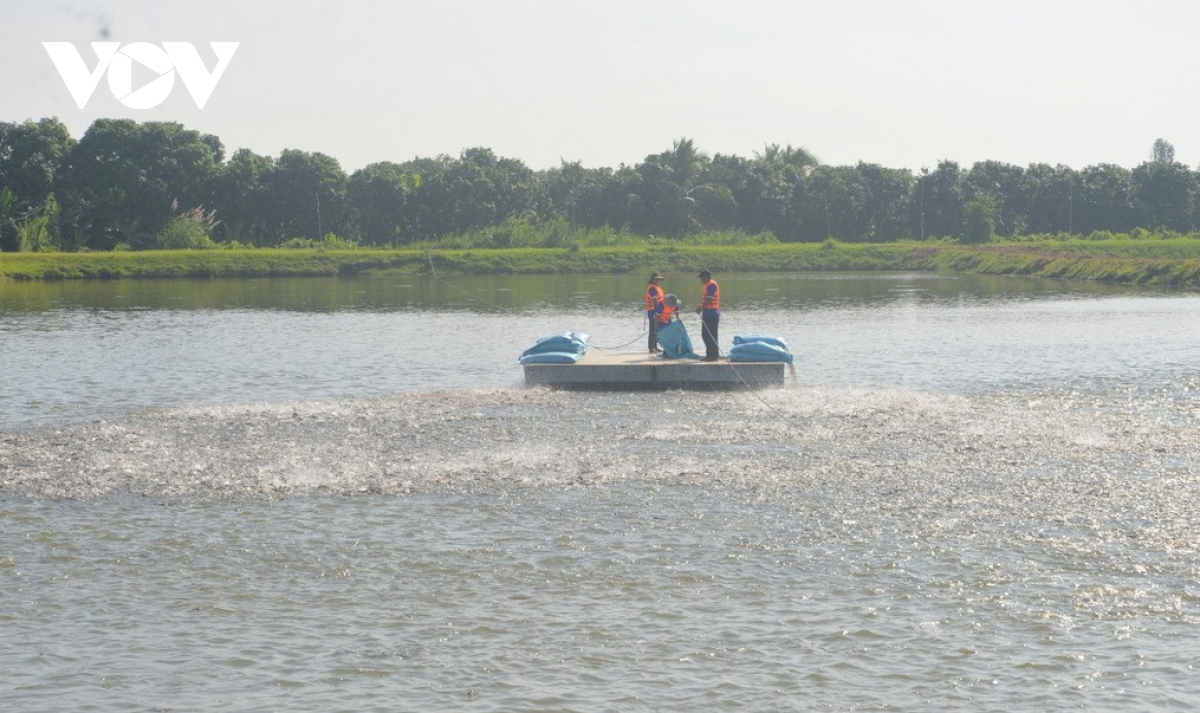 chuyen doi so giup nang cao suc canh tranh cho nganh hang ca tra viet nam hinh anh 2