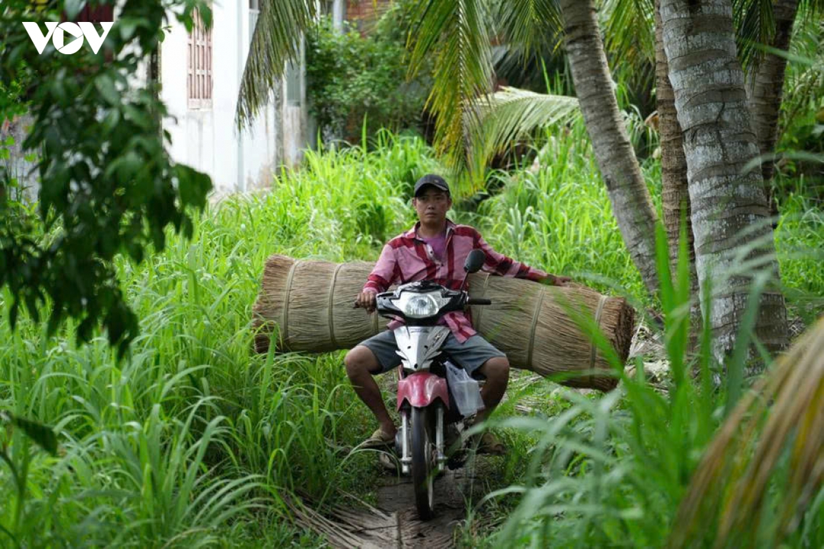 canh dong lac - nguon song quen thuoc cua nguoi dan nhi long vinh long hinh anh 10