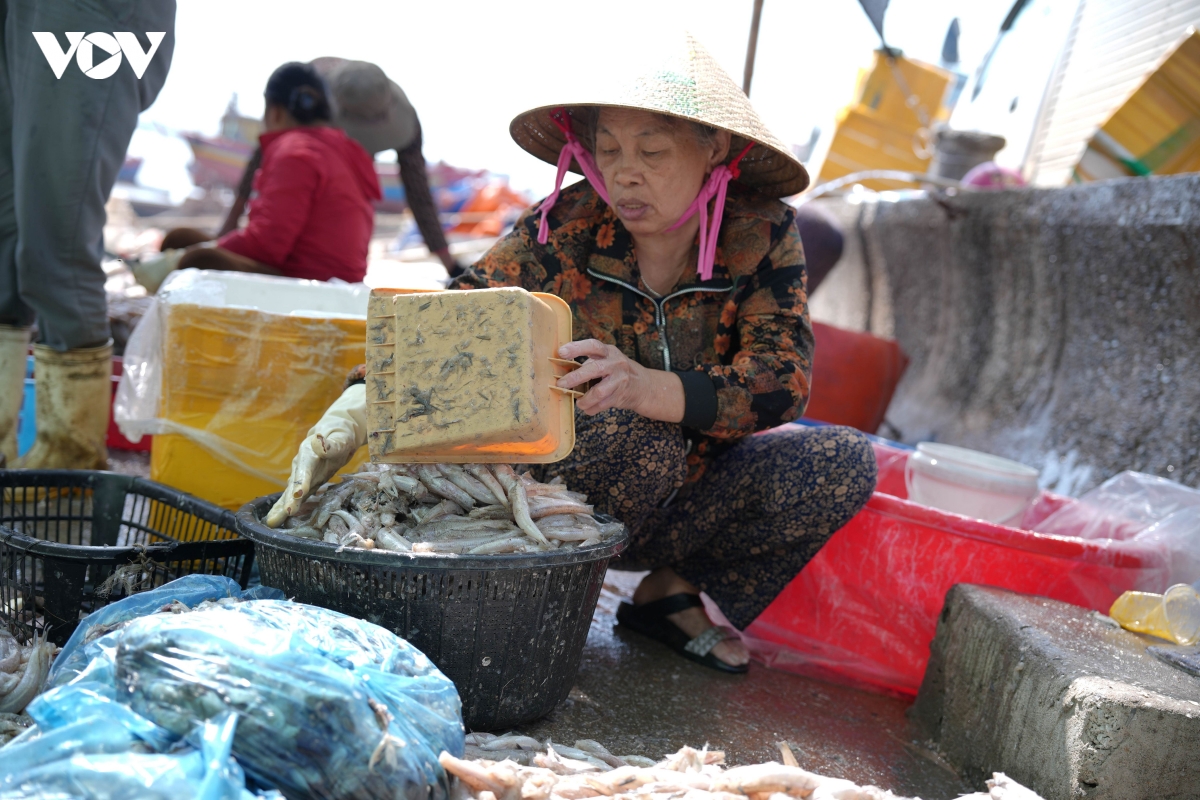 nu lao dong tu do noi cang ca bap benh theo con nuoc, mua gio hinh anh 5