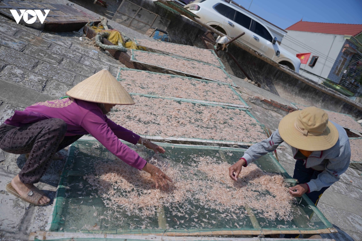 nu lao dong tu do noi cang ca bap benh theo con nuoc, mua gio hinh anh 10