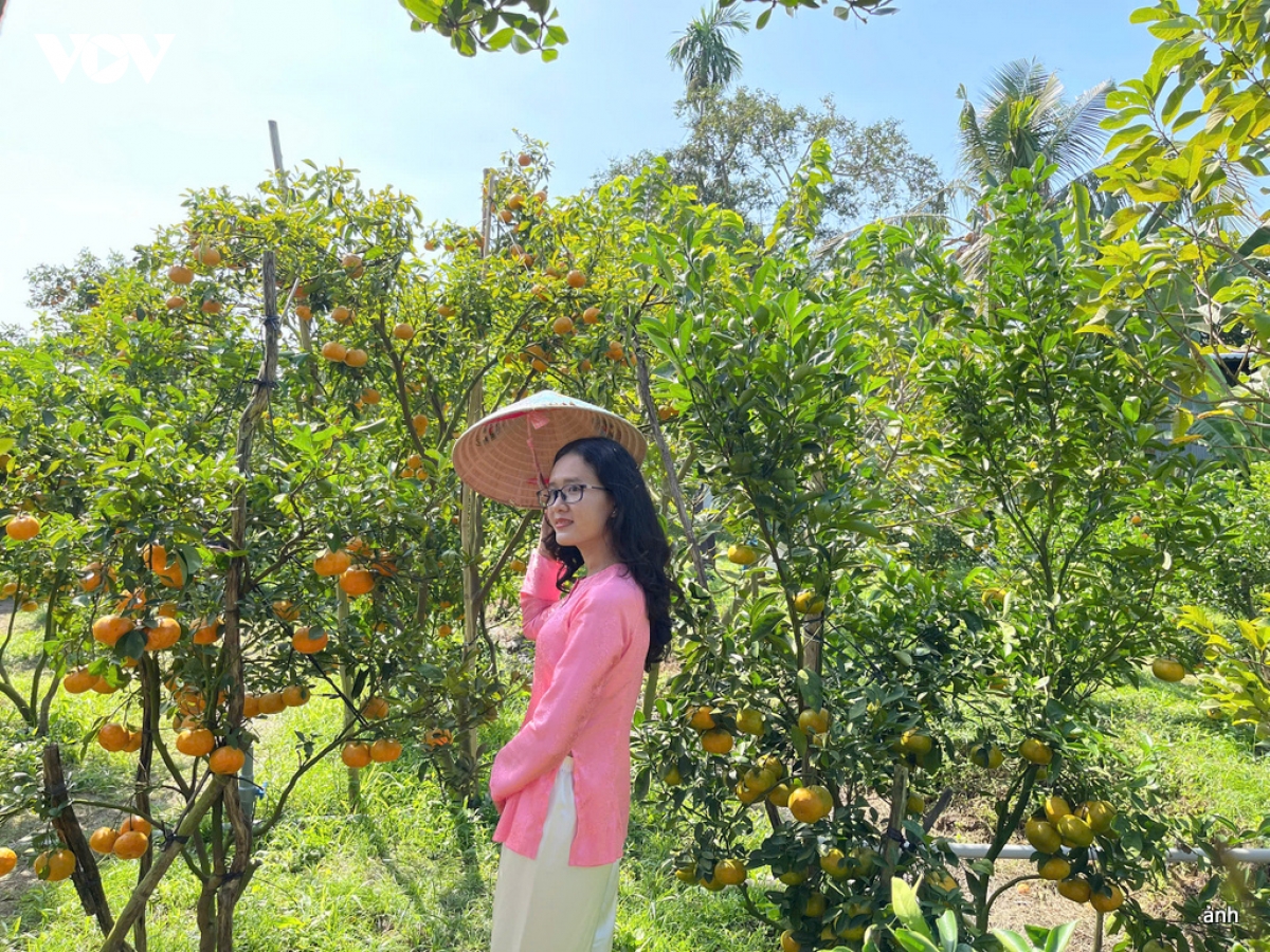 quyt hong ba muoi - diem check in thu vi ky nghi tet duong lich hinh anh 8