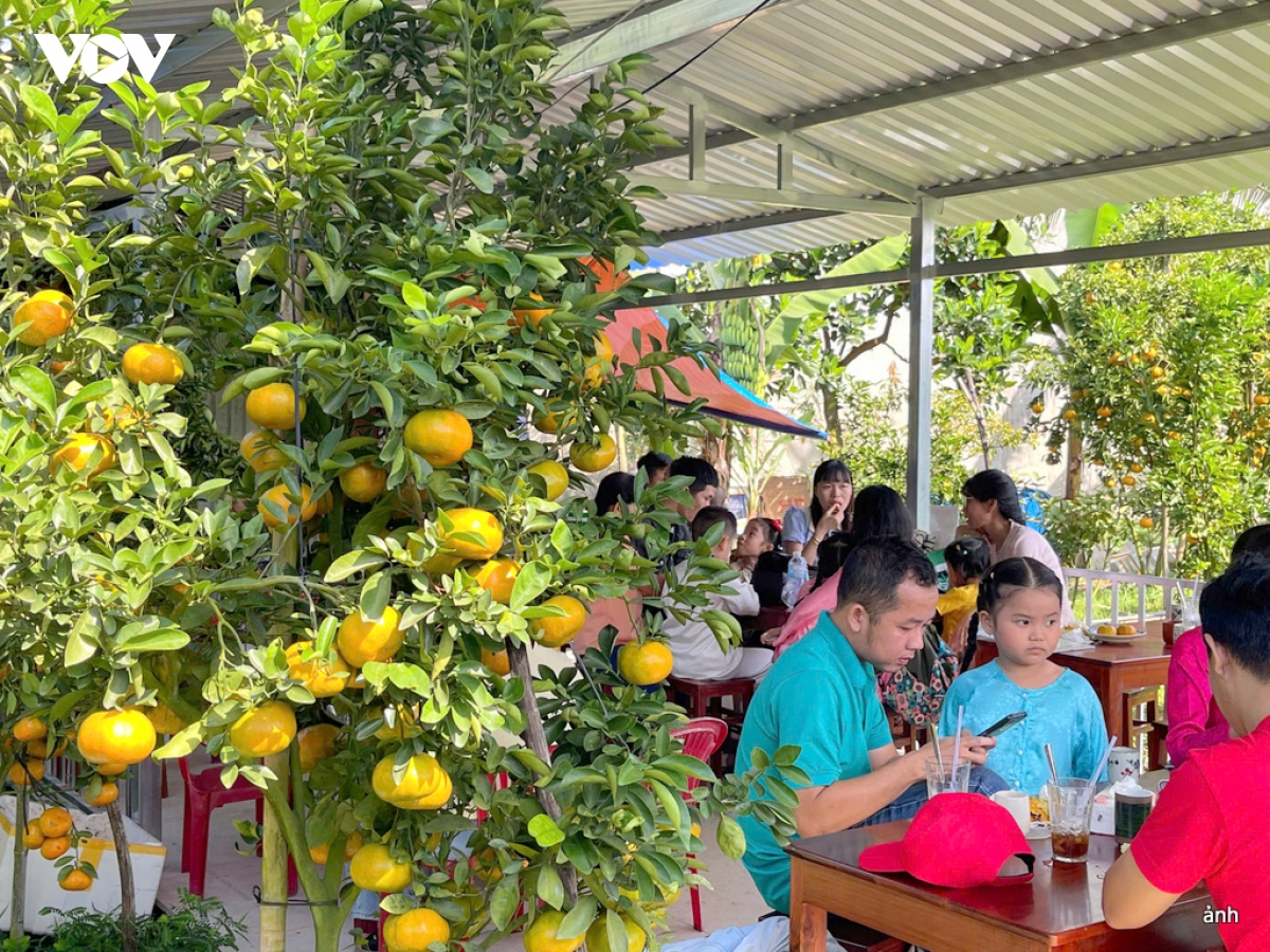 quyt hong ba muoi - diem check in thu vi ky nghi tet duong lich hinh anh 13