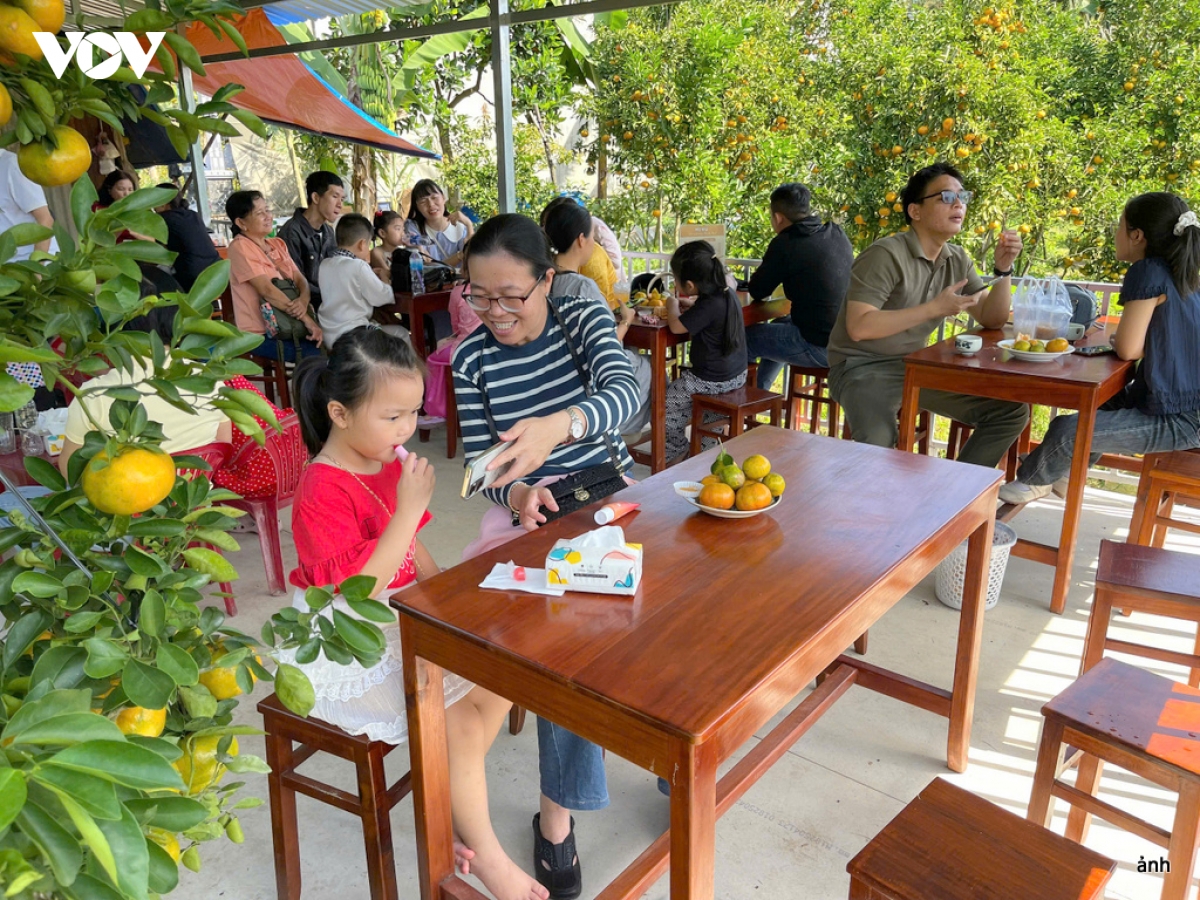 quyt hong ba muoi - diem check in thu vi ky nghi tet duong lich hinh anh 14