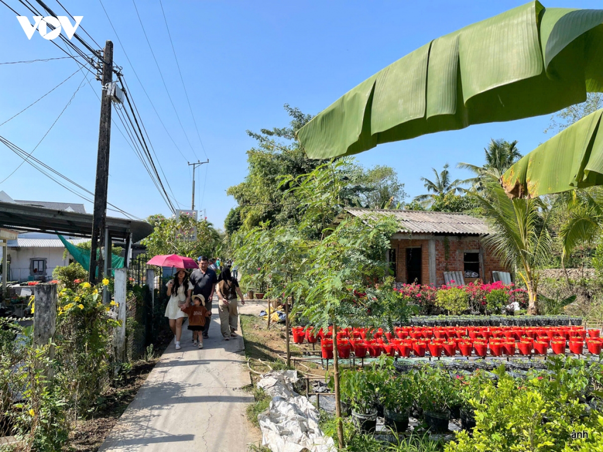 quyt hong ba muoi - diem check in thu vi ky nghi tet duong lich hinh anh 2