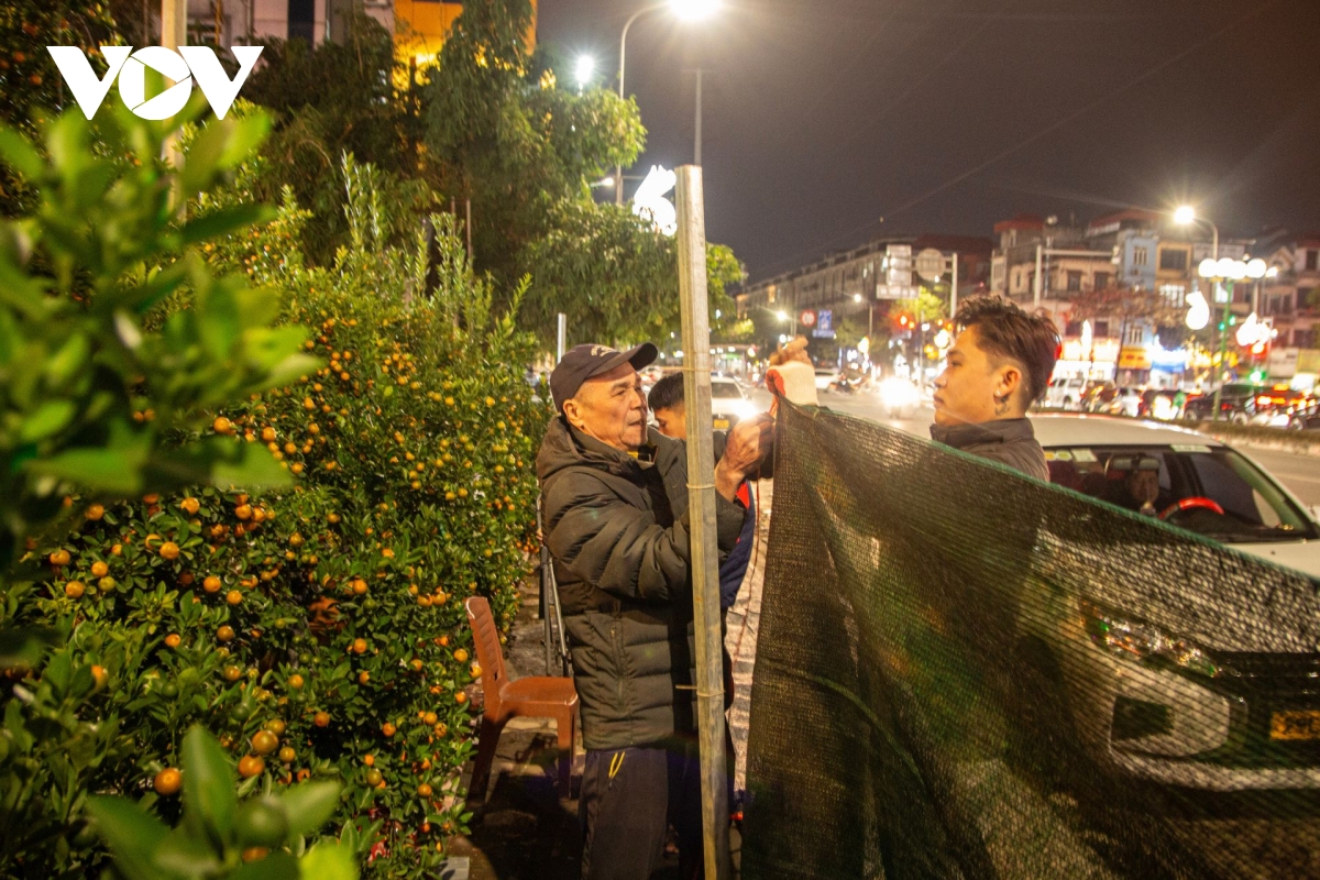 Tiểu thương trắng đêm trông đào, quất trong cái lạnh thấu xương của Hà Nội