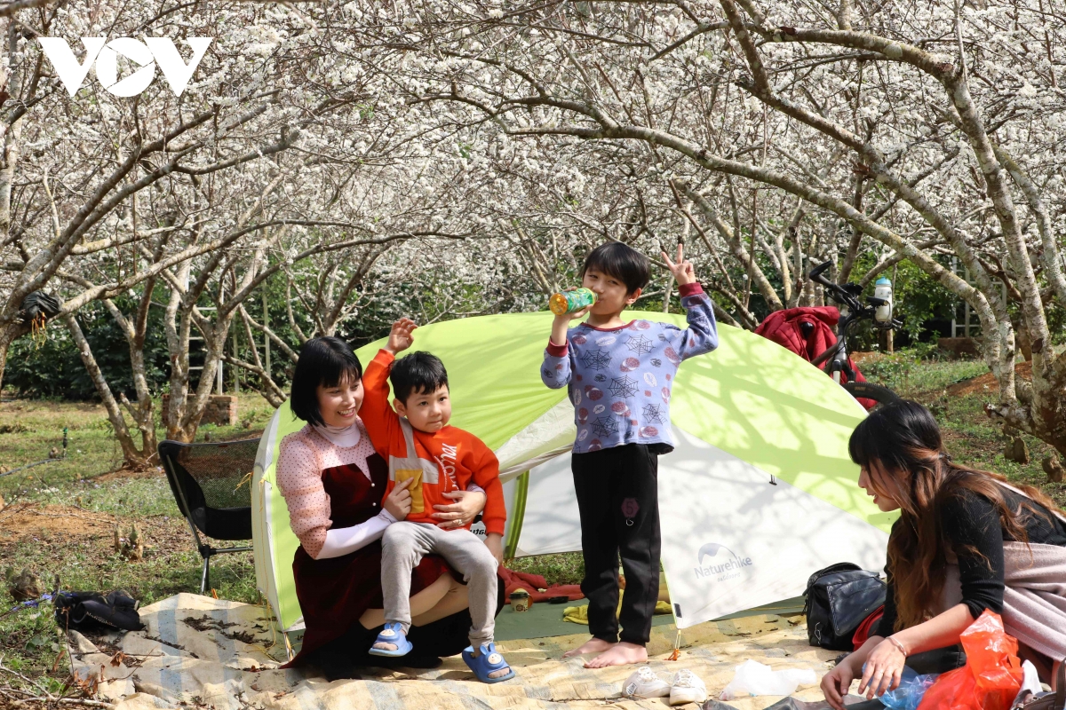 Les fleurs blanches du mandarinier affichent fièrement leurs fleurs d'un blanc pur, accueillant le printemps (image 10).