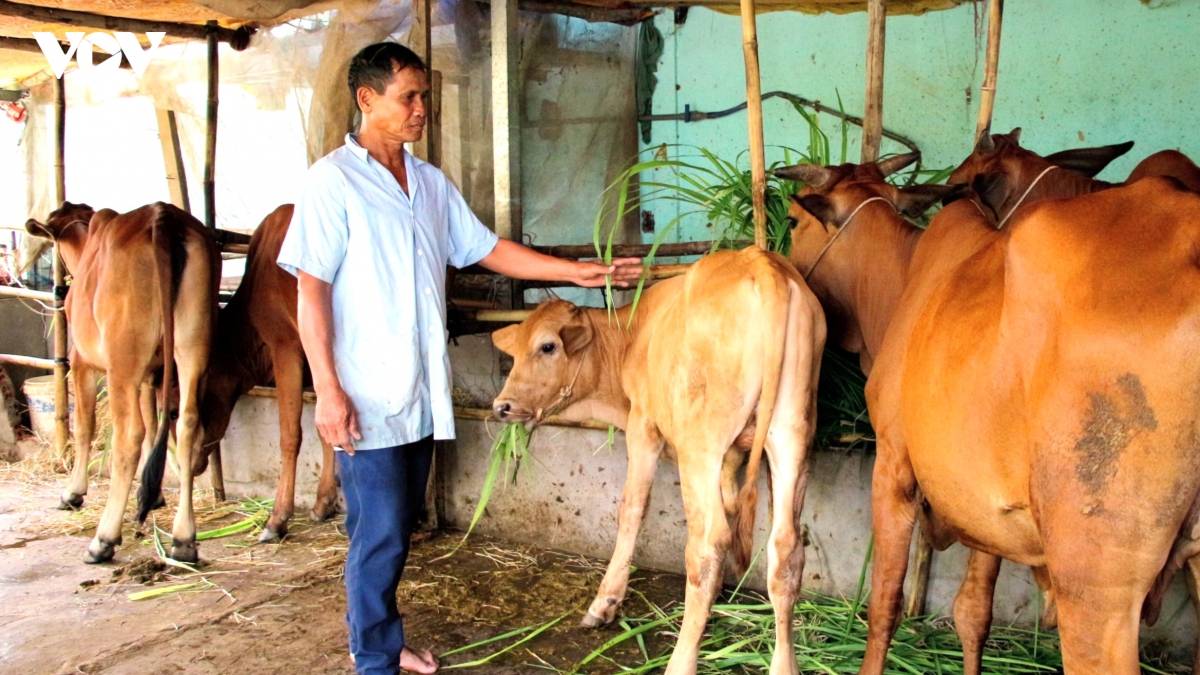 Don bay thoat ngheo cho dong bao khmer hinh anh 2