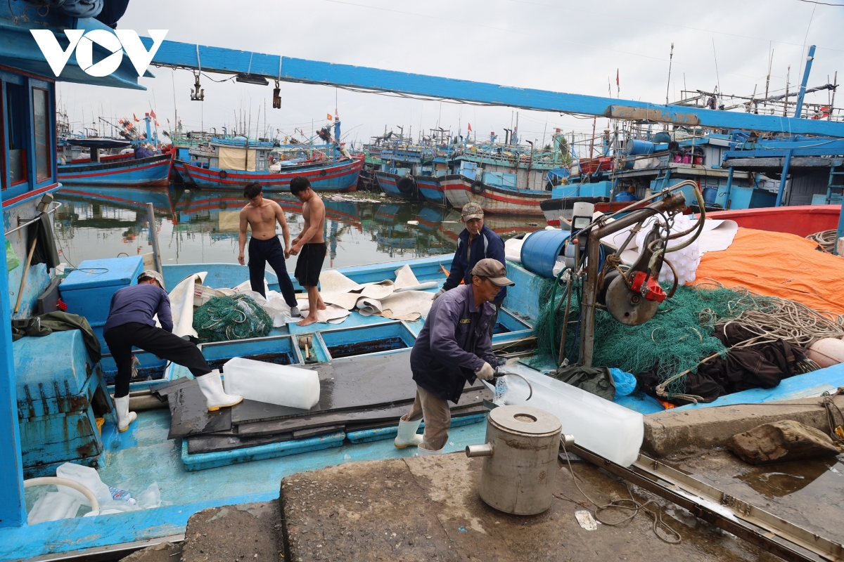 bam bien ngay giap tet nhip muu sinh, niem tin cua ngu dan quang ngai hinh anh 4