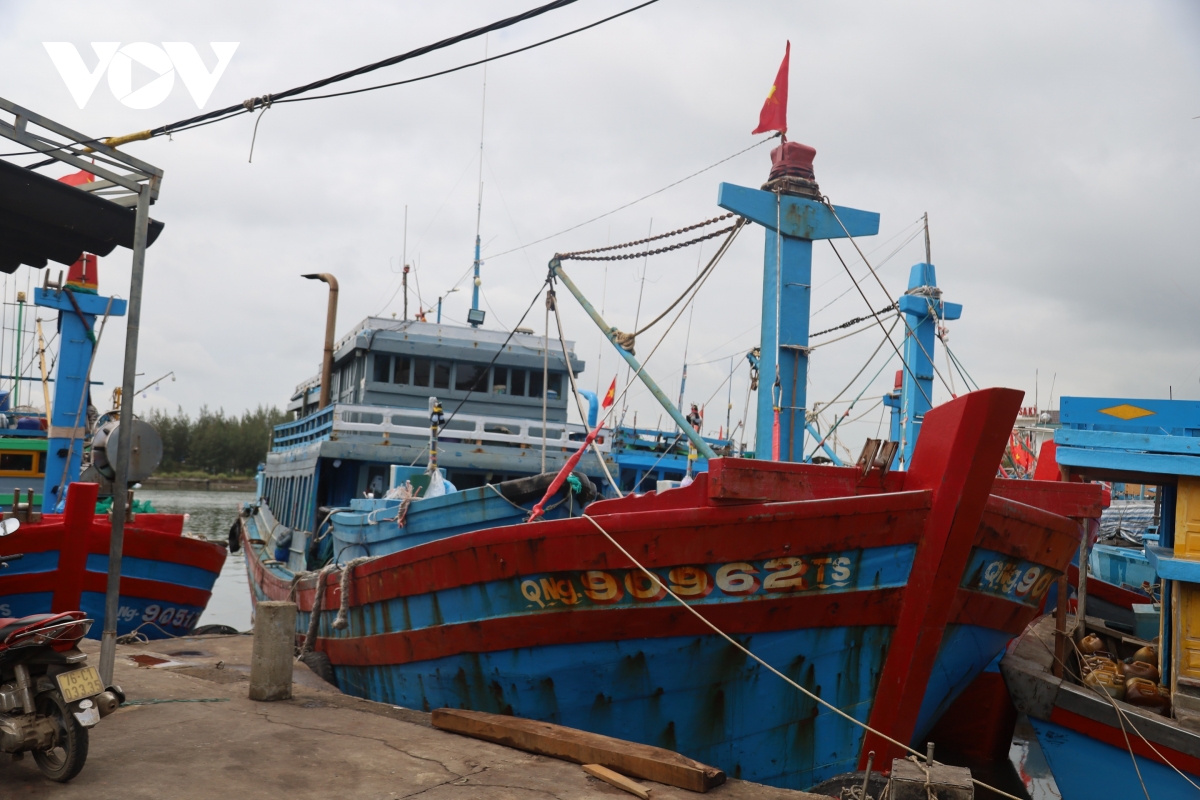 bam bien ngay giap tet nhip muu sinh, niem tin cua ngu dan quang ngai hinh anh 2