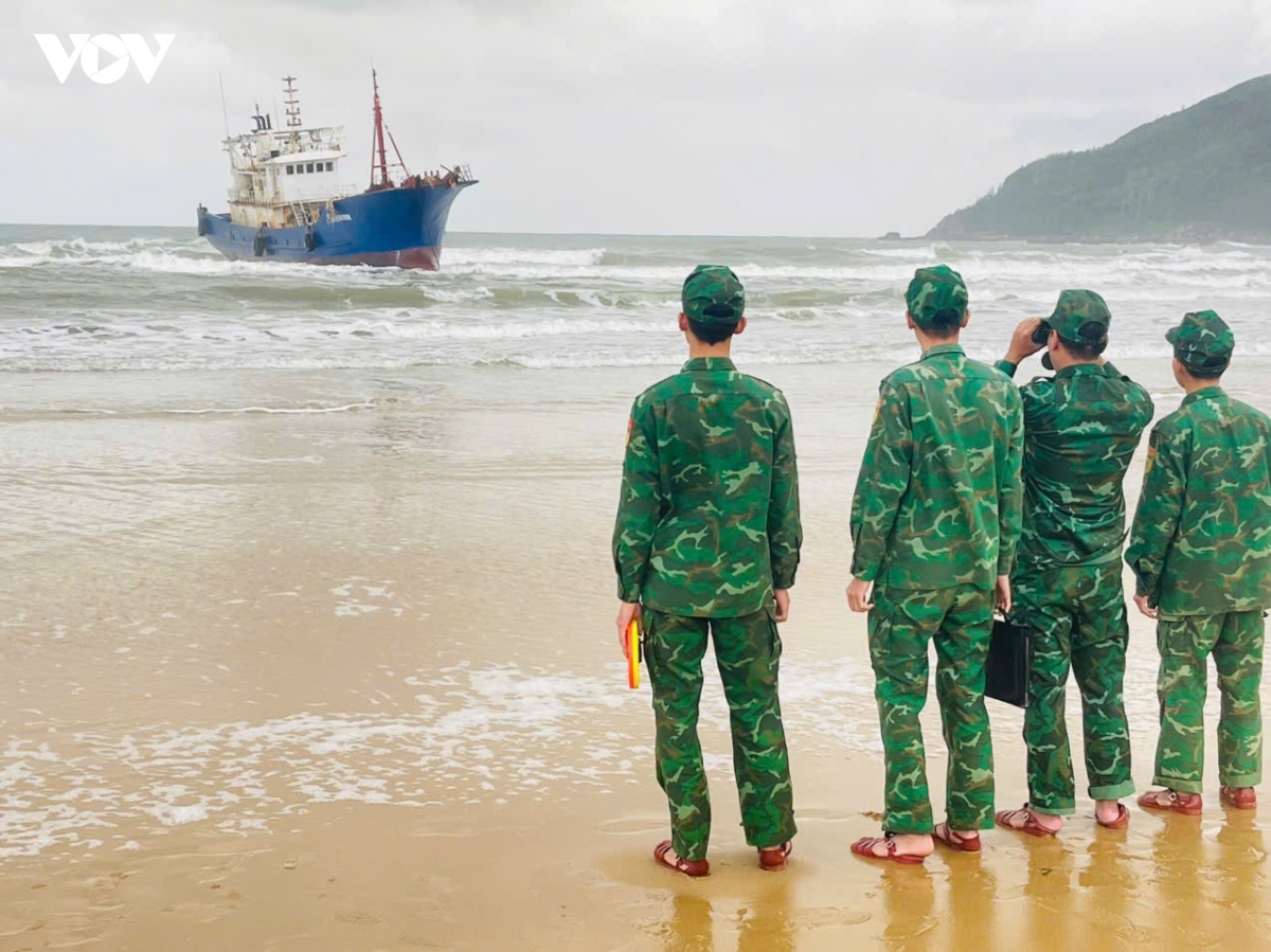 tau ca nuoc ngoai troi dat, mac can tai vung bien quang ngai hinh anh 1