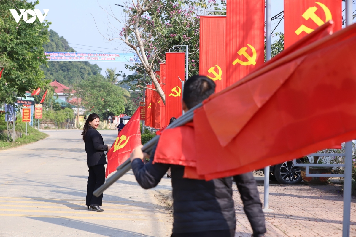 ninh binh ruc ro co hoa chao mung Dai hoi Dang toan quoc lan thu xiv hinh anh 11