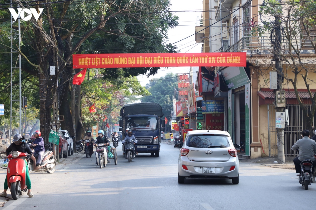 ninh binh ruc ro co hoa chao mung Dai hoi Dang toan quoc lan thu xiv hinh anh 7