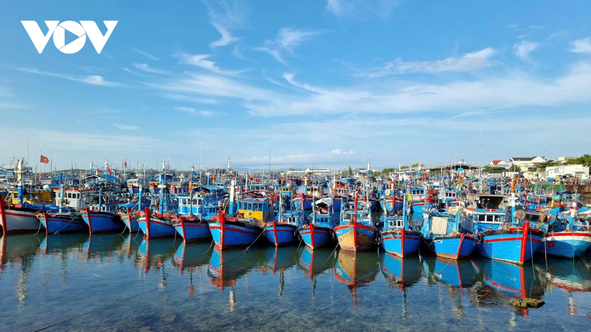 Khánh Hòa quyết liệt xử lý tàu cá vi phạm, quyết tâm gỡ thẻ vàng IUU