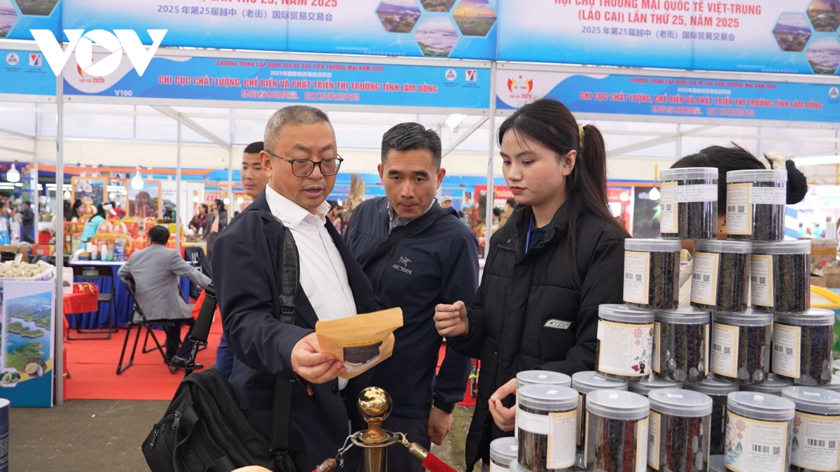lao cai chu dong mo rong hop tac doi ngoai hinh anh 3