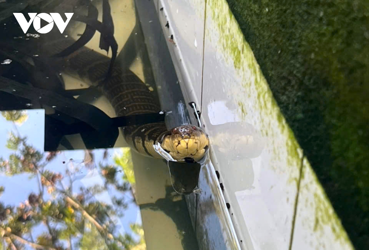 ho tro dung nhu cau va y chi thoat ngheo cua nguoi dan o hong dan, ca mau hinh anh 4