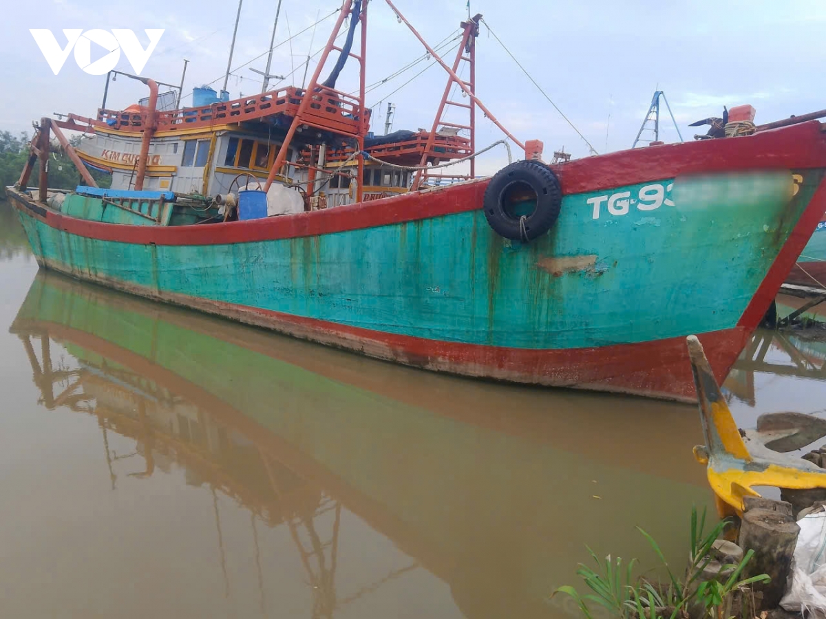 Dong thap ho tro ngu dan chuyen doi nghe muc cao nhat den 350 trieu dong tau ca hinh anh 2