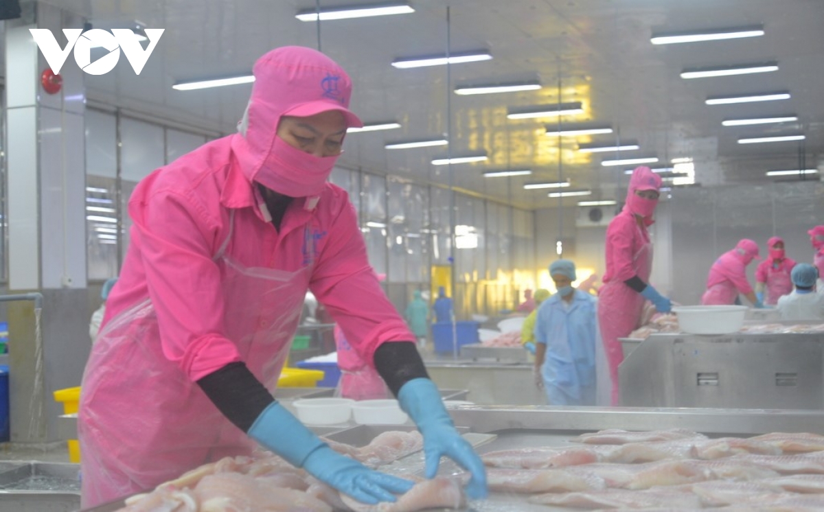 chuyen doi so giup nang cao suc canh tranh cho nganh hang ca tra viet nam hinh anh 1