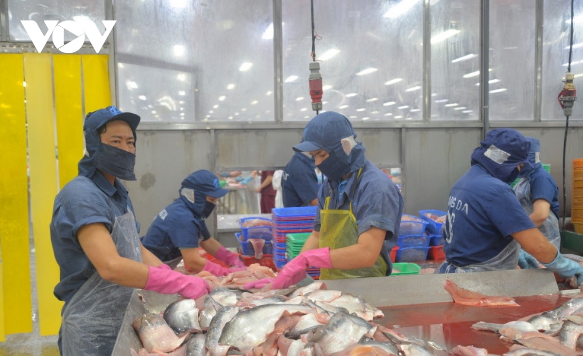 chuyen doi so giup nang cao suc canh tranh cho nganh hang ca tra viet nam hinh anh 3