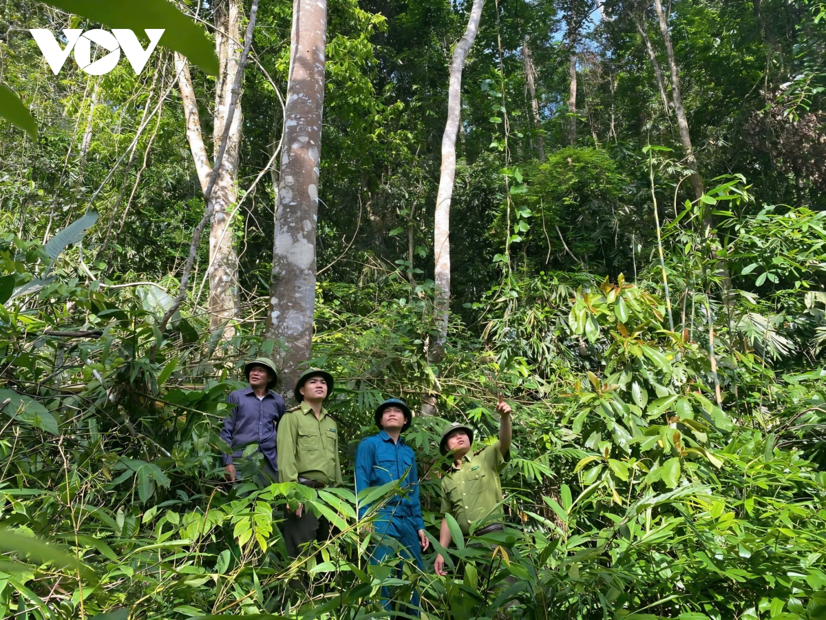 bien tinh than nghi quyet thanh hanh dong thuc tien sinh dong hinh anh 2