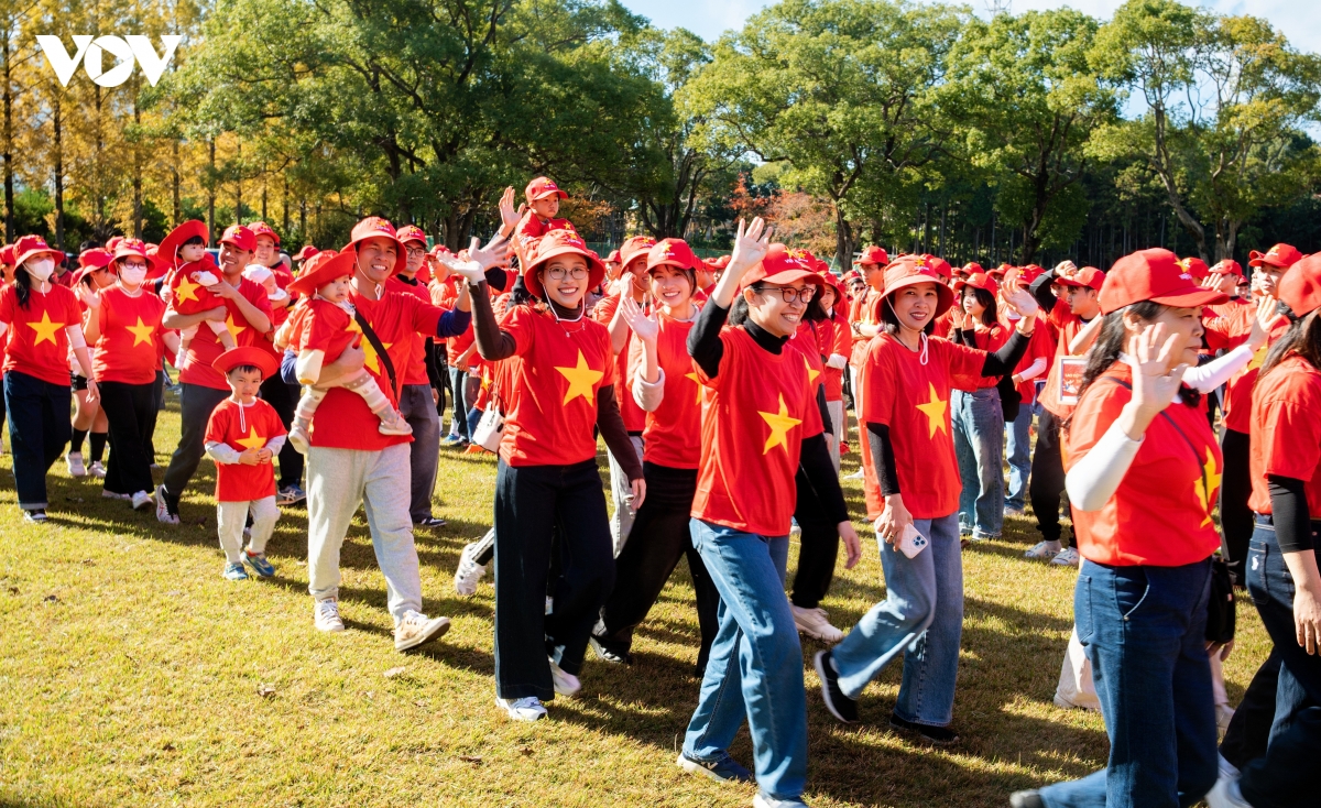 cac hoi doan viet nam tai nhat ban huong ve Dai hoi xiv cua Dang hinh anh 1