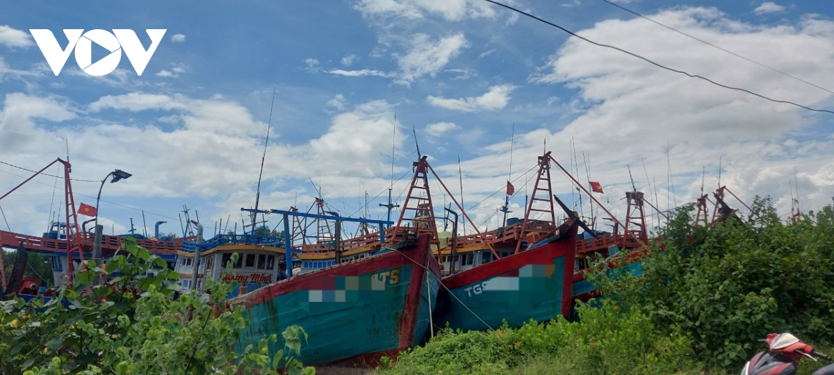 Đồng Tháp hỗ trợ ngư dân chuyển đổi nghề mức cao nhất đến 350 triệu đồng/tàu cá