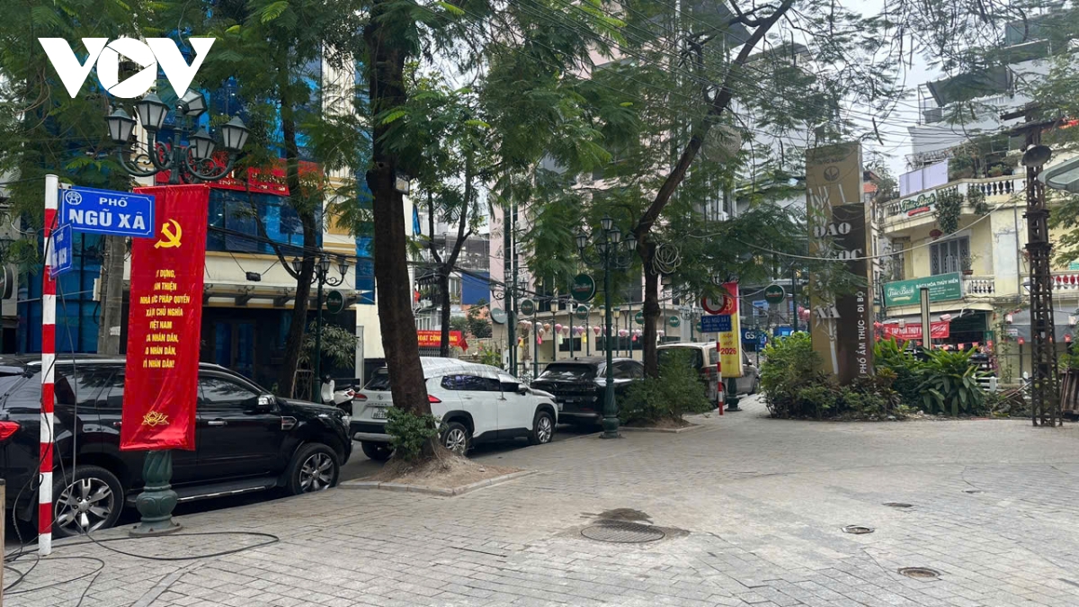 muong nuoc van o nhiem sau khi du an thu gom nuoc thai ho truc bach hoan thanh hinh anh 2