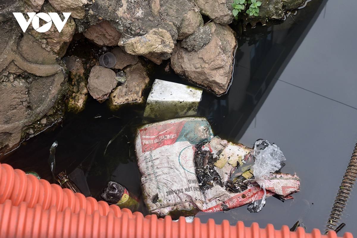 muong nuoc van o nhiem sau khi du an thu gom nuoc thai ho truc bach hoan thanh hinh anh 5