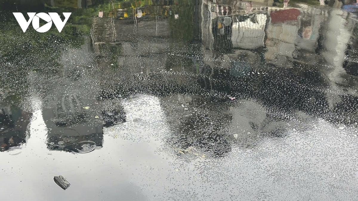 muong nuoc van o nhiem sau khi du an thu gom nuoc thai ho truc bach hoan thanh hinh anh 7