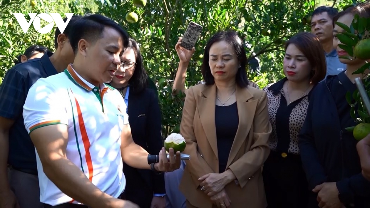nong dan lao cai len nen tang so, mo loi cho nong nghiep so vung cao hinh anh 3