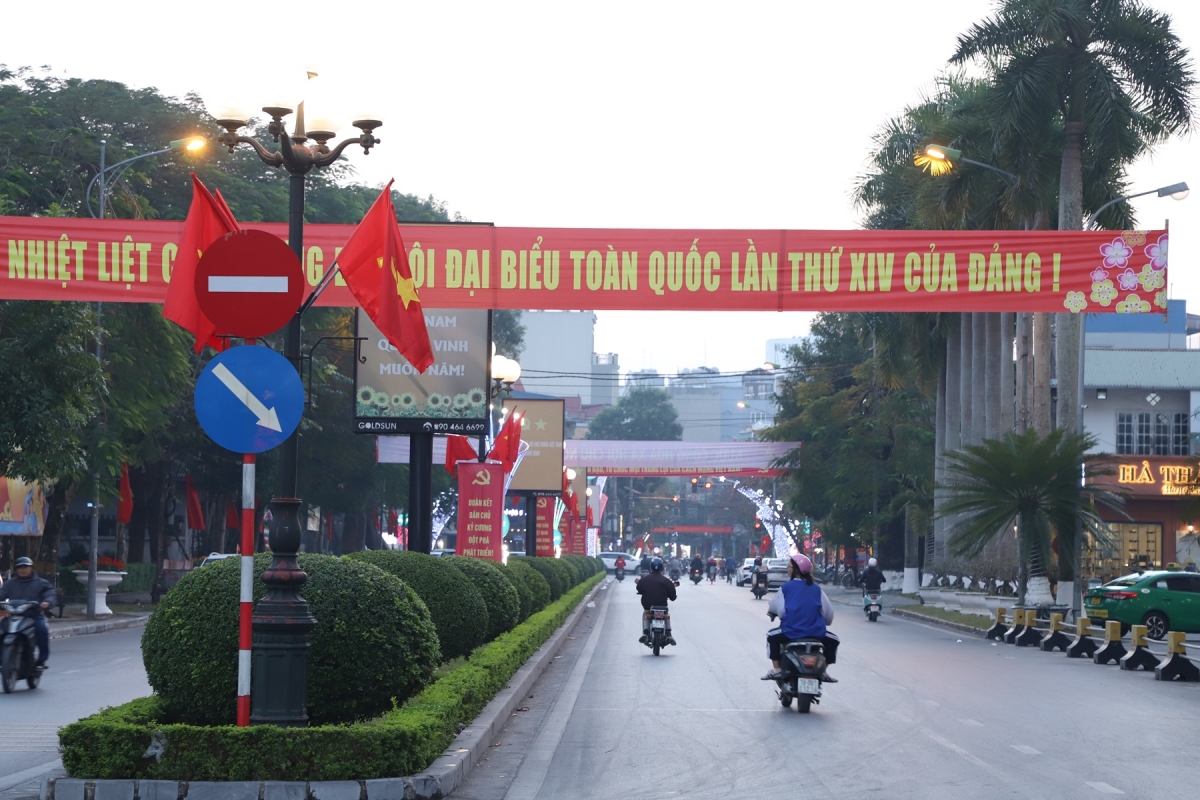 ninh binh ruc ro co hoa chao mung Dai hoi Dang toan quoc lan thu xiv hinh anh 10