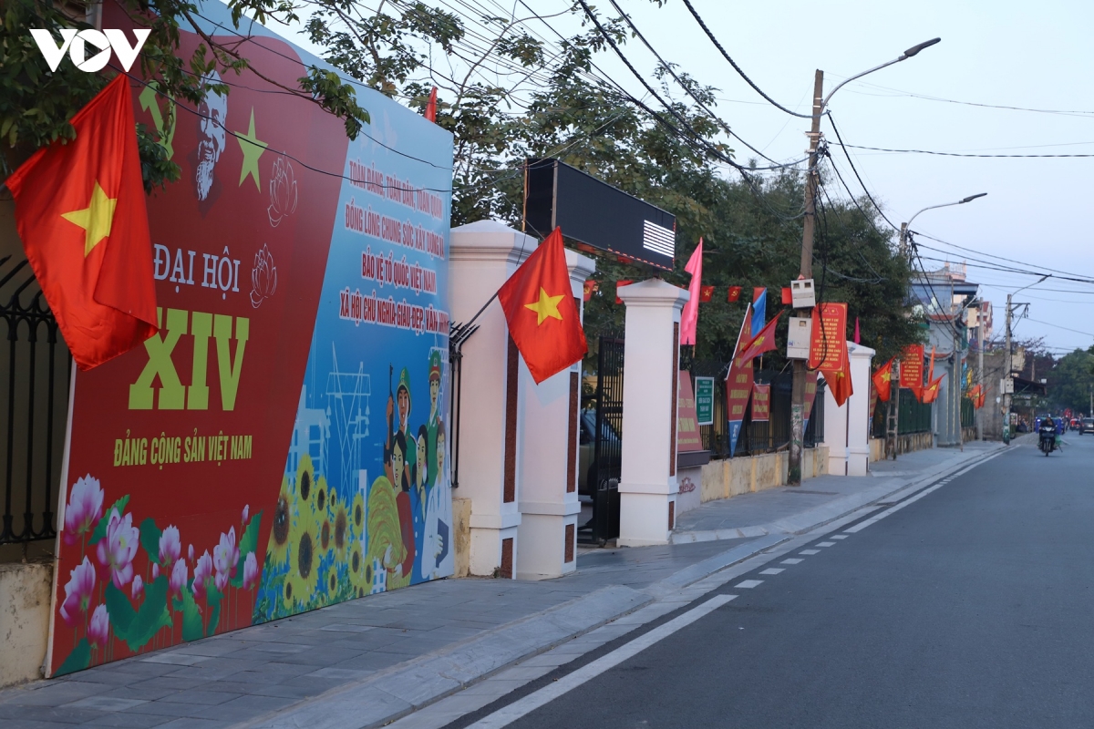 ninh binh ruc ro co hoa chao mung Dai hoi Dang toan quoc lan thu xiv hinh anh 9
