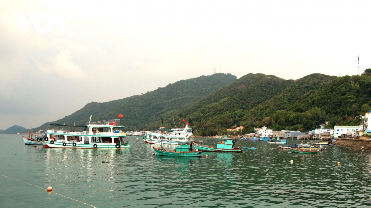 can bo, chien si, nguoi dan bien dao tay nam gui tron niem tin ve Dai hoi xiv hinh anh 4