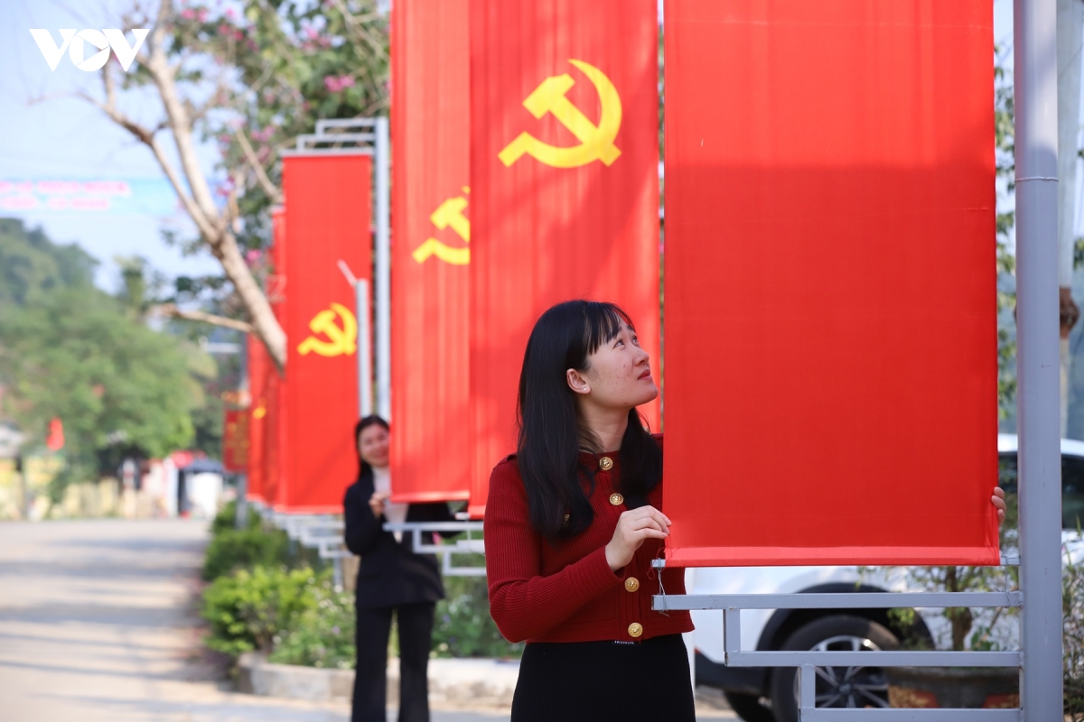 ninh binh ruc ro co hoa chao mung Dai hoi Dang toan quoc lan thu xiv hinh anh 13