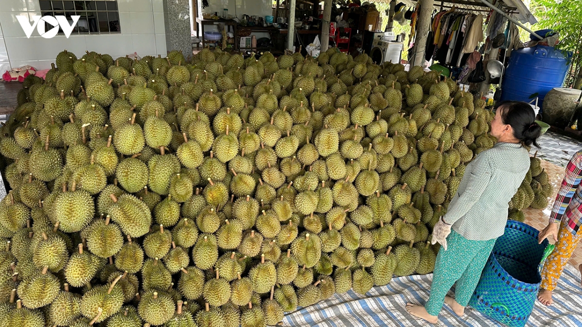 Kết nối thị trường, mở rộng xuất khẩu trái cây Việt sang Trung Quốc