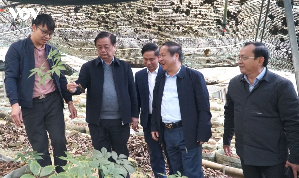 pho chu tich quoc hoi le minh hoan kiem tra, giam sat cong tac bau cu tai lai chau hinh anh 1