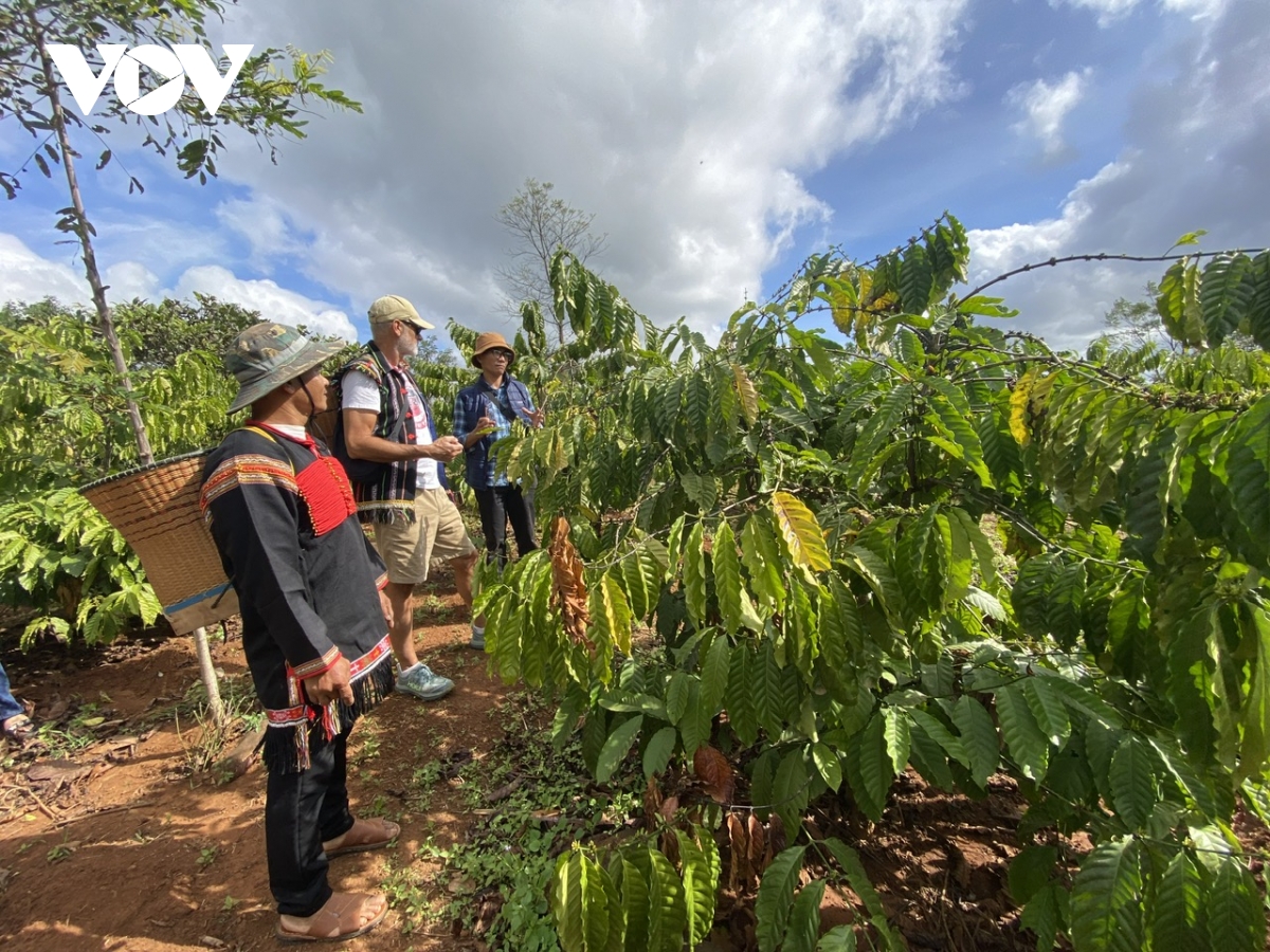 Dong bao dan toc thieu so o tay nguyen gui gam ky vong vao Dai hoi xiv cua Dang hinh anh 1