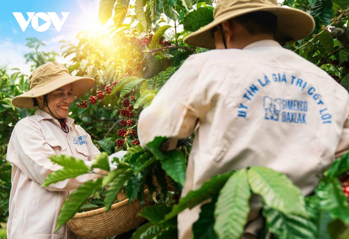 Đắk Lắk thi đua lao động, sản xuất hướng về Đại hội XIV của Đảng