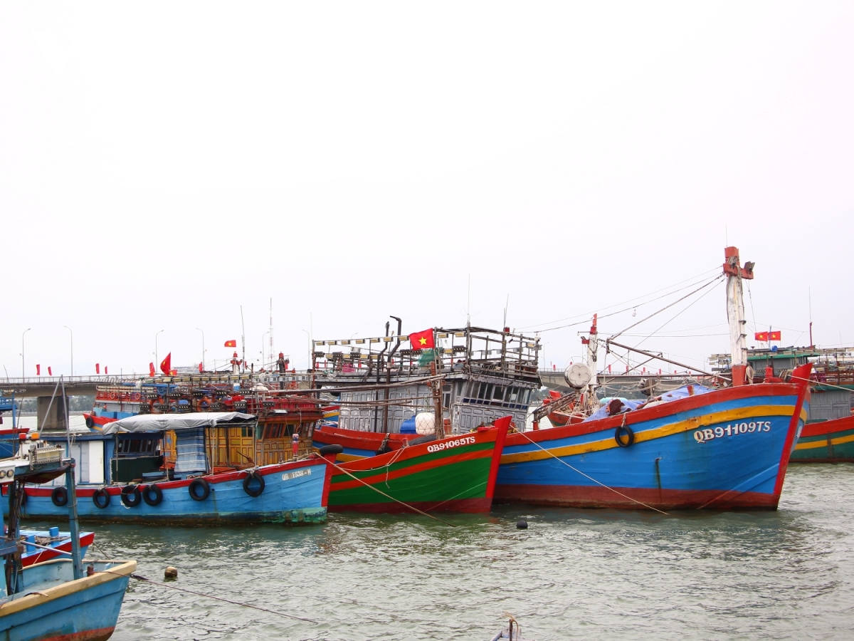 Ngư dân Quảng Trị vươn khơi đầu năm được giám sát chặt chẽ về chống khai thác IUU