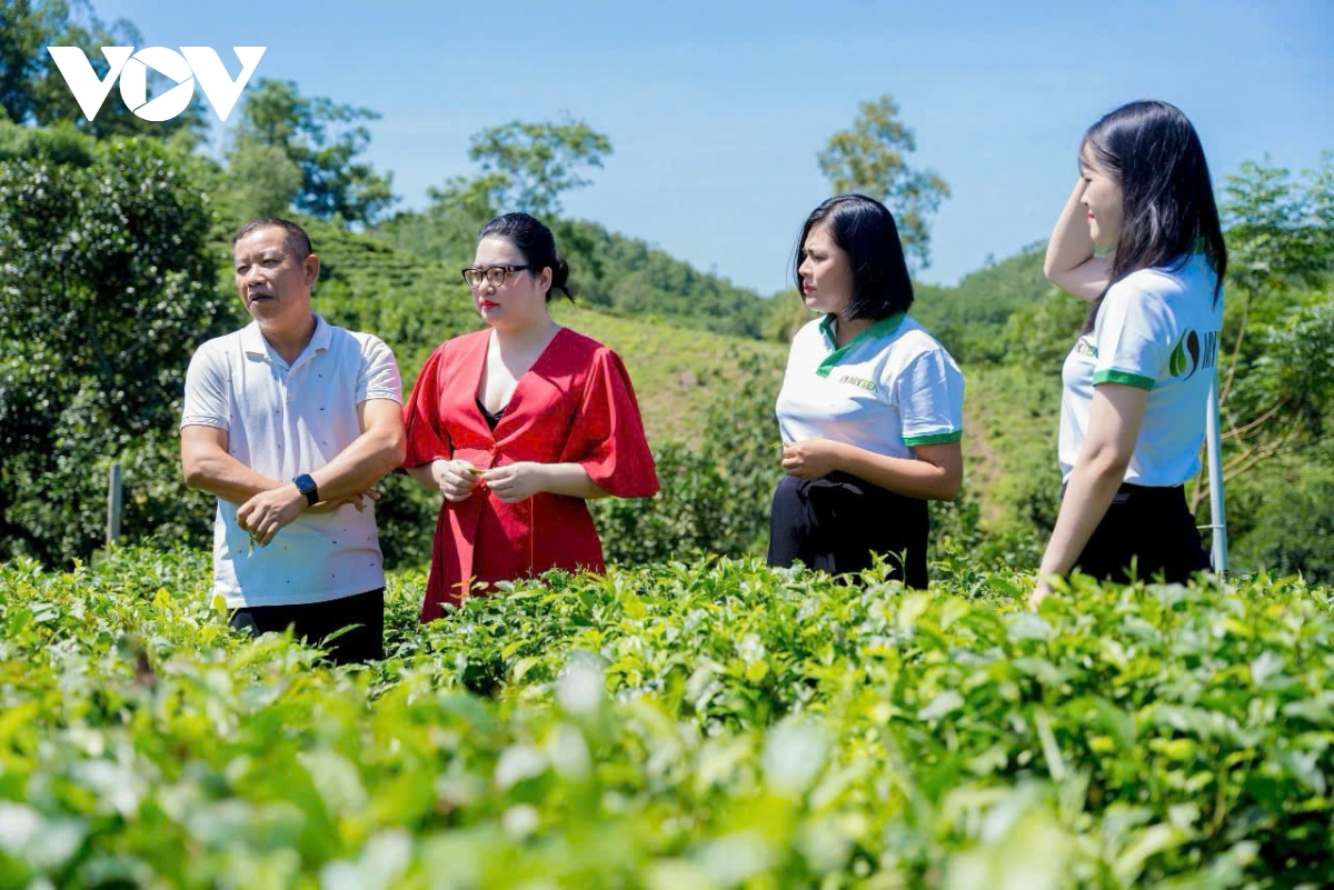 Dua cong nghe so len nuong che hinh anh 3